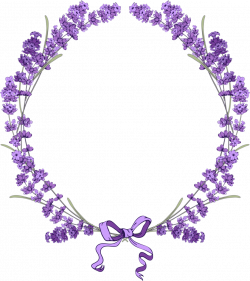 English lavender Borders and Frames Flower Clip art - lavender 911 ...