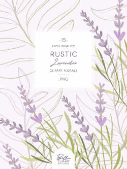 Lavender flower clip art set, Lilac florals, leaf line art ...