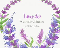Lavender Clip Art, Watercolor Clipart Lavender Collection ...