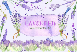 Lavender Clip Art from Creative Market ~ Lovely design for a ...