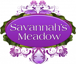 Savannah's Meadow: local lavender farm | Places to Go: Dallas ...