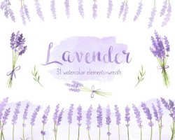 Lavender watercolor clipart for wedding Invitations, bridal ...