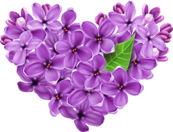Purple Lilac Heart PNG Picture | Gallery Yopriceville - High ...