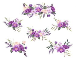 Purple Peonies Hand Painted Floral Clip Art, Purple and ...