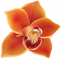 gousicteco: Orchid Clip Art Images