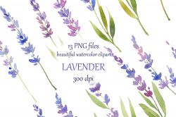 watercolor hand painted Lavender Clipart