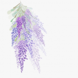 Watercolor Flowers Lavender Design Painting, Purple Flowers ...