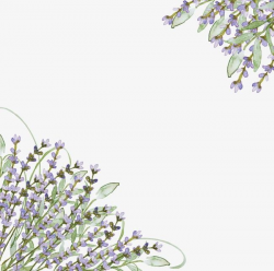 Hand-painted Lavender PNG, Clipart, Flowers, Grass, Hand ...