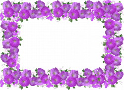 Free photo Floral Decoration Frame Petunia Border - Max Pixel