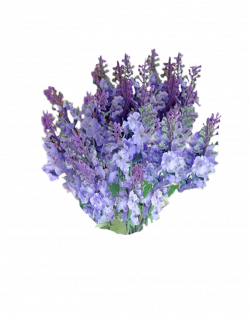 FreeToEdit png flowers with a transparent background...