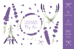 Lavender Branches Clip Art + Vector ~ Illustrations on ...