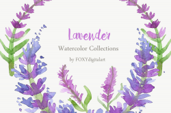 Watercolor Lavender Clipart Collection