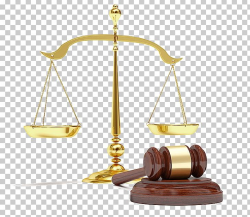 Lawyer Legal Advice Legal Aid Civil Law PNG, Clipart ...