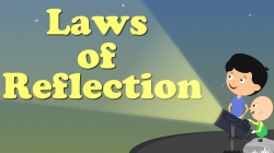 Laws of Reflection | #aumsum