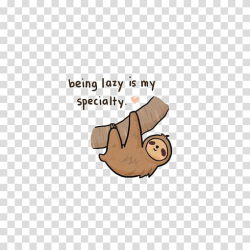 Being lazy is my specialty , Sloth T-shirt Drawing Cuteness ...