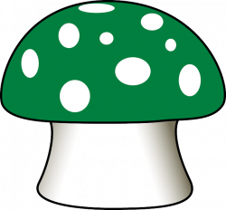 Imagem gratis no Pixabay - Cogumelo, Agaric De Mosca, Verde