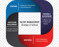 talent management training and development clipart Talent ...