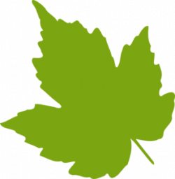Fall Green Leaf Clipart