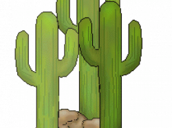 19 Cactus clipart HUGE FREEBIE! Download for PowerPoint ...