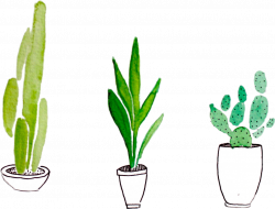 plant cactus tumblr green - Sticker by Heni Iancu