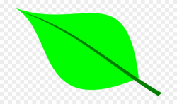 Permalink To Green Leaf Clipart - Single Green Leaf Clip Art ...