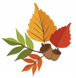 Pin by Laurie Robinson on Thanksgiving | Leaf clipart ...