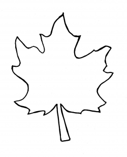 Autumn leaf outline template clipart free to use clip art ...