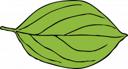 Public Domain Clip Art Image | Illustration of a green leaf | ID ...