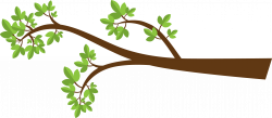 Twig Clipart Collection (70+)