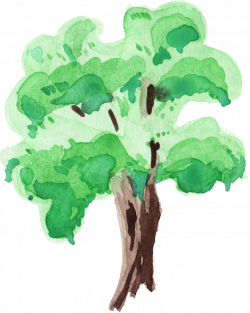 12 Watercolor Tree (PNG Transparent) | OnlyGFX.com