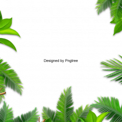 Green Leaves Palm Border, Leaves Palm, Leaf, Palm PNG and Vector for ...
