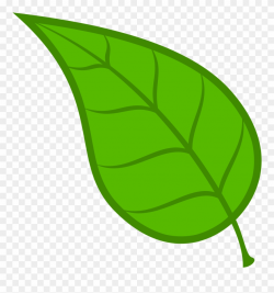 Leaves Leaf Free Download Clip Art On Clipart Library ...