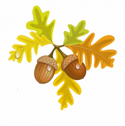 Foliage Clipart Acorn Pencil And In Color Foliage Clipart ...