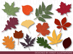 Autumn Leaves Clipart, Autumn Leaf Clipart, Fall Leaves Clip Art, Fall Leaf  Clip Art, Autumn Clipart, Fall Clipart, Thanksgiving Clipart