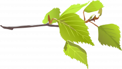 Clipart - Branch And Green Leaves