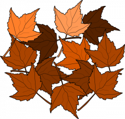 Maple leaves clipart | ClipartMonk - Free Clip Art Images