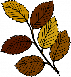 Leaves Clipart Brown Leaf Free collection | Download and share ...
