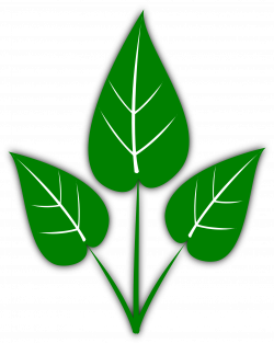 Green Leaves Clipart - Clip Art Bay