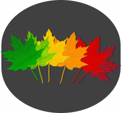 Maple Leaves Shades Clip Art at Clker.com - vector clip art online ...