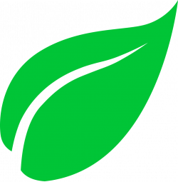 Images of Leaf Icon Png - #SpaceHero