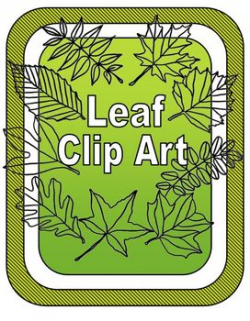 Leaf Clipart: Types of Tree Leaves Line Drawings