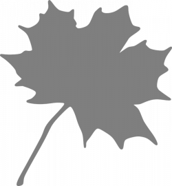 Grey Leaf Clipart