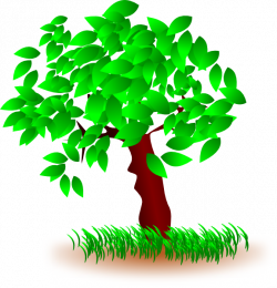 Tree With Large Leaves Clip Art at Clker.com - vector clip art ...