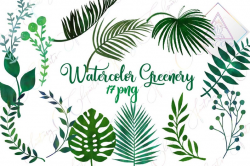 Watercolor greenery, leaves clipart, tropical summer, palm monstera leaf,  spring clip art, watercolour green, hand drawn graphics, digital p