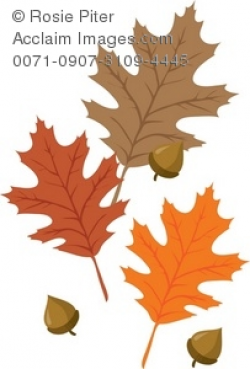 Clip Art Illustration Of A Group Of Autumn Leaves And Acorns