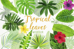 Watercolor Tropical Leaves Clipart, Palm Leaves Clip Art