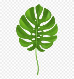 Free Png Download Tropical Palm Leaf Transparent Clipart ...