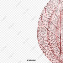 Leaf Veins, Red Leaves, Leaves, Vein PNG Transparent Clipart ...