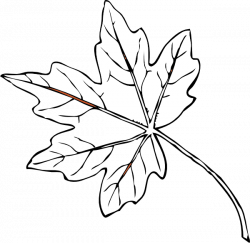 Line Drawing Leaf at GetDrawings.com | Free for personal use Line ...
