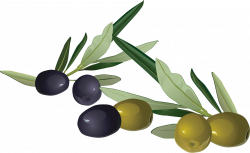 Olives PNG images free download, olive PNG